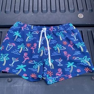 Chubbies bathing suit